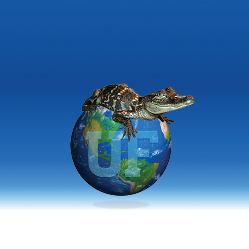 Photo of gator on globe