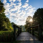 serene photo of lake, bridge and trees