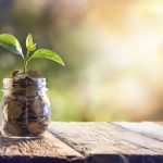 jar with coins and plant sprouting from it