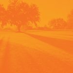 orange background