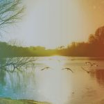 serene uf campus shot with filter
